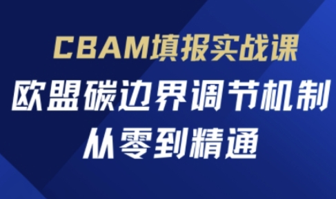 CBAM填报实战课，欧盟碳边界调节机制，从零到精通-云团GO