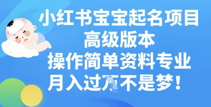 小红书宝宝起名项目高级版本，操作简单，资料专业，月入过W-云团GO