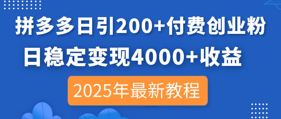 （14217期）拼多多日引200+付费创业粉，日稳定变现4000+收益，2025年最新教程-云团GO