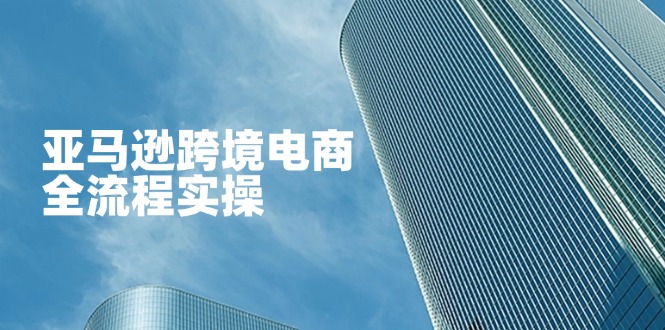 (14252期)亚马逊跨境电商全流程实操,教你从零开始,掌握店铺运营与广告技巧-云团GO