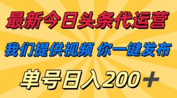 最新今日头条代运营，我们提供视频，你一键发布，单号日入200+【揭秘】-云团GO