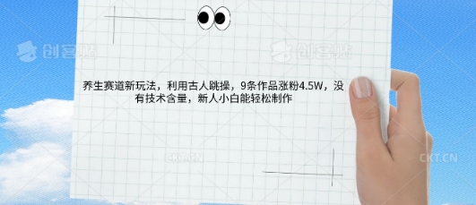 AI养生赛道新玩法，10条作品涨粉5.2W，操作简单，新人小白能轻松制作-云团GO