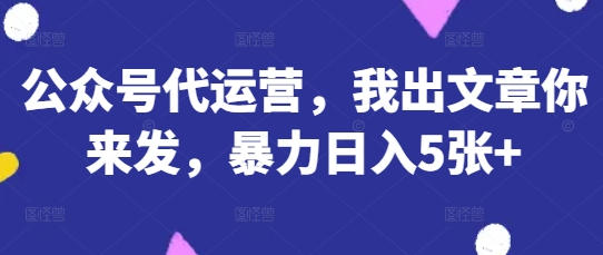 公众号代运营，我出文章你来发，暴力日入5张+【揭秘】-云团GO