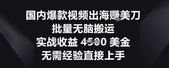 国内爆款视频出海挣美刀，批量无脑搬运，实战收益4.5k，无需经验直接上手-云团GO