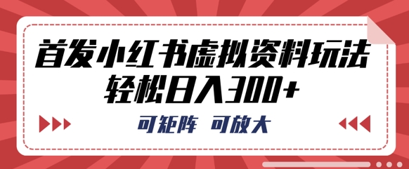 首发小红书虚拟资料玩法，可矩阵，可放大，轻松日入3张-云团GO