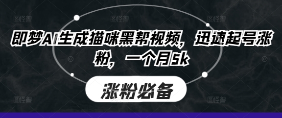 即梦AI生成猫咪黑帮视频，迅速起号涨粉，一个月5k-云团GO