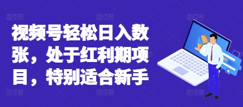 视频号轻松日入数张,处于红利期项目,特别适合新手-云团GO