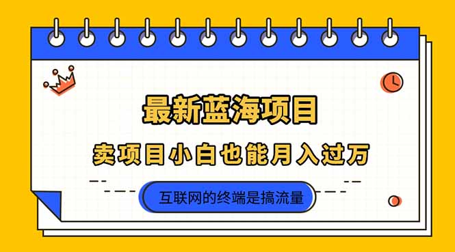 （14289期）2025年最新蓝海项目，卖项目小白也能月入过万-云团GO