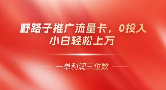 0门槛推广流量卡,一单收益上百,0投入,小白月入过W-云团GO