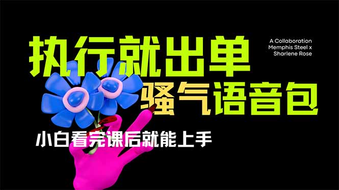 （14170期）爆火全网的开车导航骚气语音包,只要执行就出单，小白看完课程就能实操...-云团GO