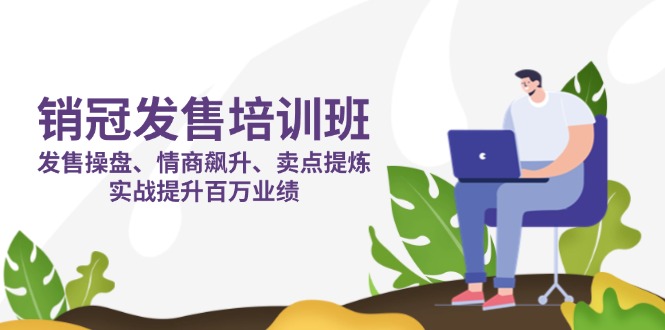 （14203期）销冠 发售培训班：发售 操盘+情商 飙升+卖点 提炼，实战提升百万业绩-云团GO