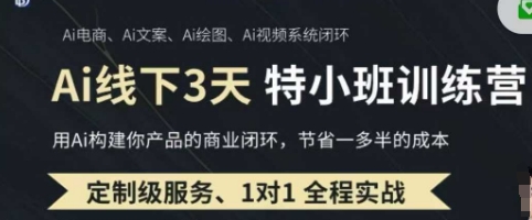 AI实操培训第20-21期线下，0基础保姆级教程，3月最新整理，企业获客、降本增效、打造超级个体-云团GO