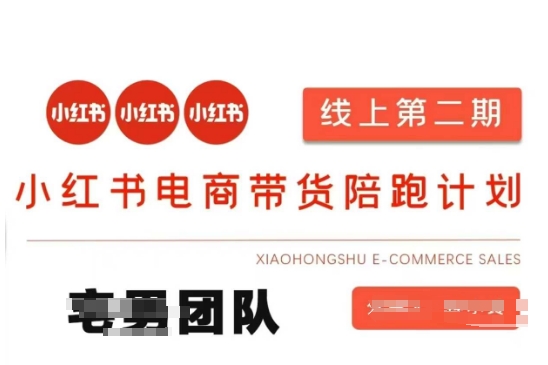 小红书电商带货课2期，月利润20个的小红书电商的有货源，无货源，虚拟产品，付费投流等整套玩法-云团GO