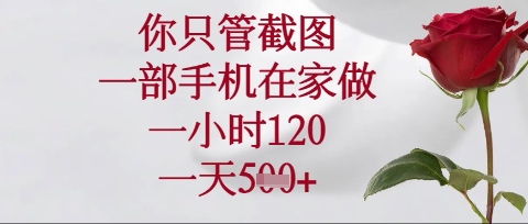 你只管截图,一部手机在家操作,一小时120.一天5张【揭秘】-云团GO